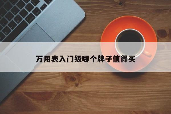 萬用表入門級哪個牌子值得買