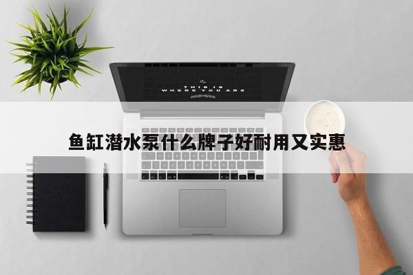 魚缸潛水泵什么牌子好耐用又實(shí)惠
